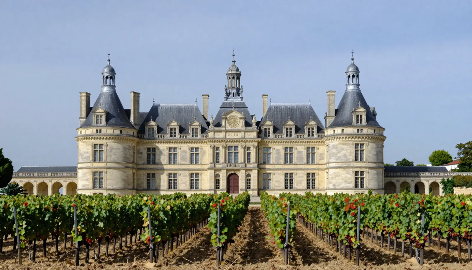 Một château bằng đá giữa những hàng nho ở Bordeaux