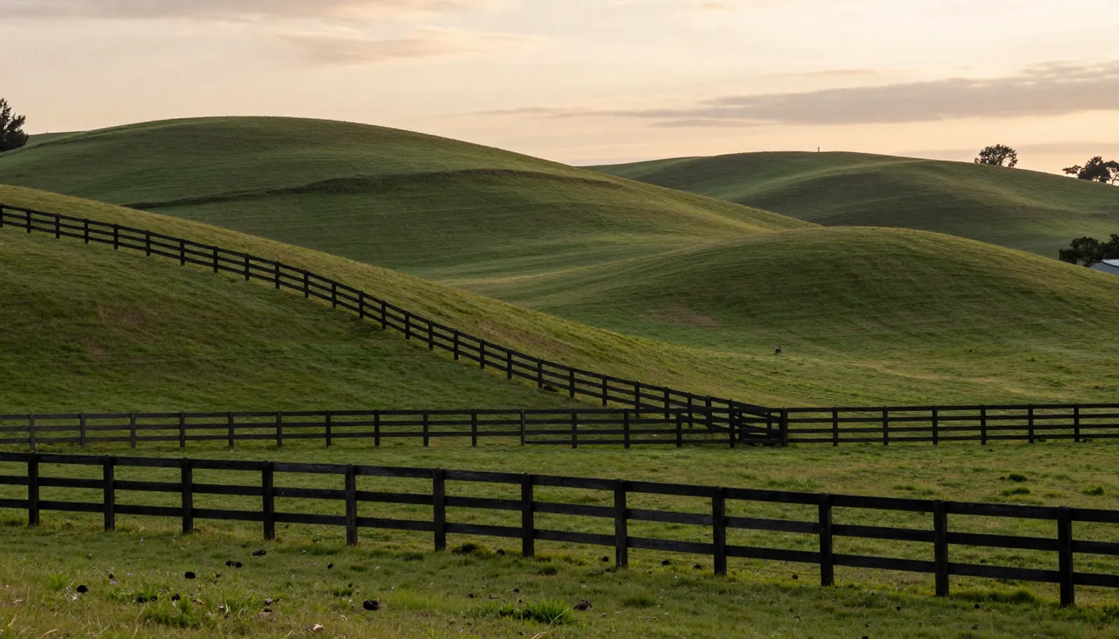 Đồi cỏ xanh và hàng rào gỗ ở một trang trại Kentucky lúc hoàng hôn
