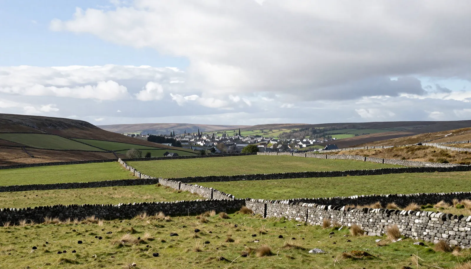 Cánh đồng xanh có tường đá khô ở vùng thấp Scotland