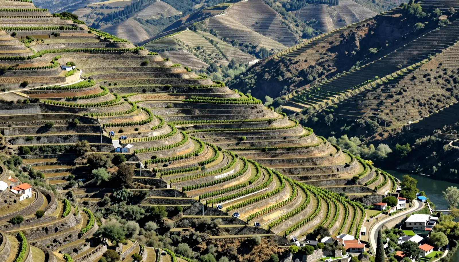 Ruộng nho bậc thang dốc ven sông Douro ở Bồ Đào Nha
