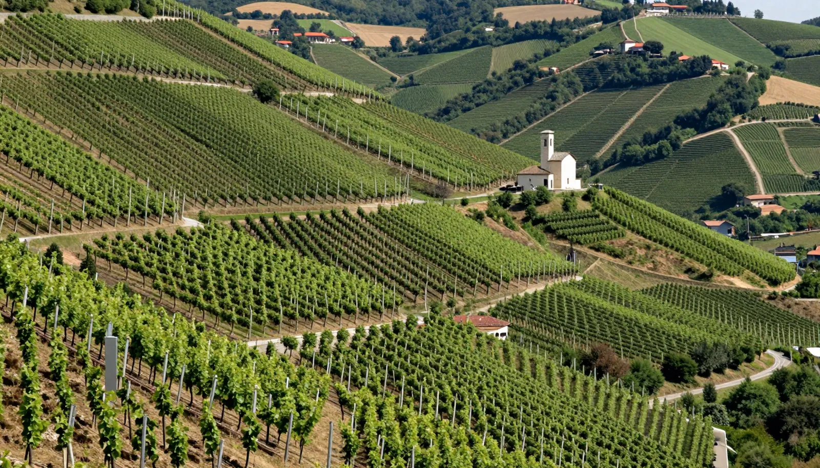 Những đồi nho rất dốc ở vùng Veneto, có nhà thờ nhỏ trên sống đồi