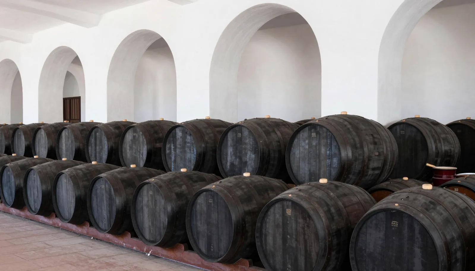 Hàng thùng gỗ trong một bodega tường trắng ở Jerez